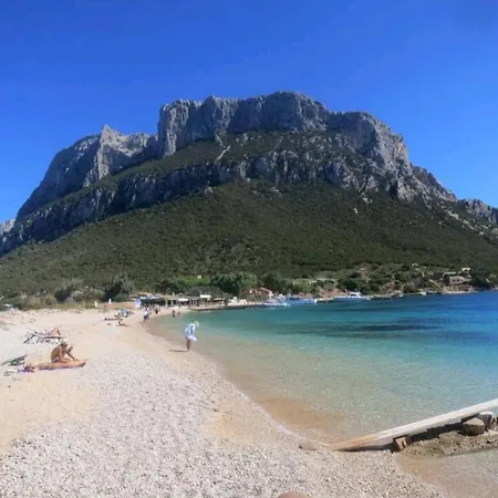 Villa Nido Del Cuculo - Stilvolle Villa Mit Privatem Pool Nahe Der Costa Smeralda *