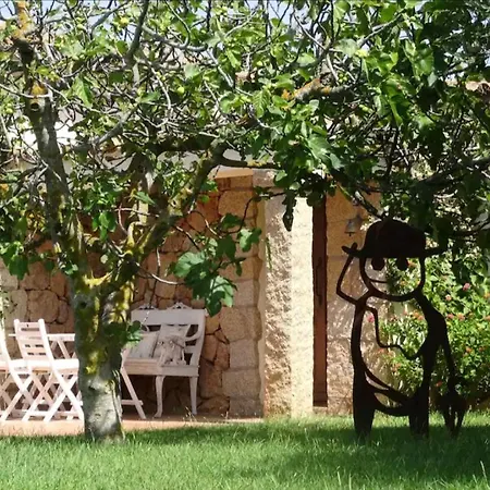 Nido Del Cuculo - Stilvolle Villa Mit Privatem Pool Nahe Der Costa Smeralda * Cannigione