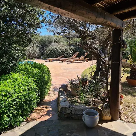 Villa Nido Del Cuculo - Stilvolle Villa Mit Privatem Pool Nahe Der Costa Smeralda *